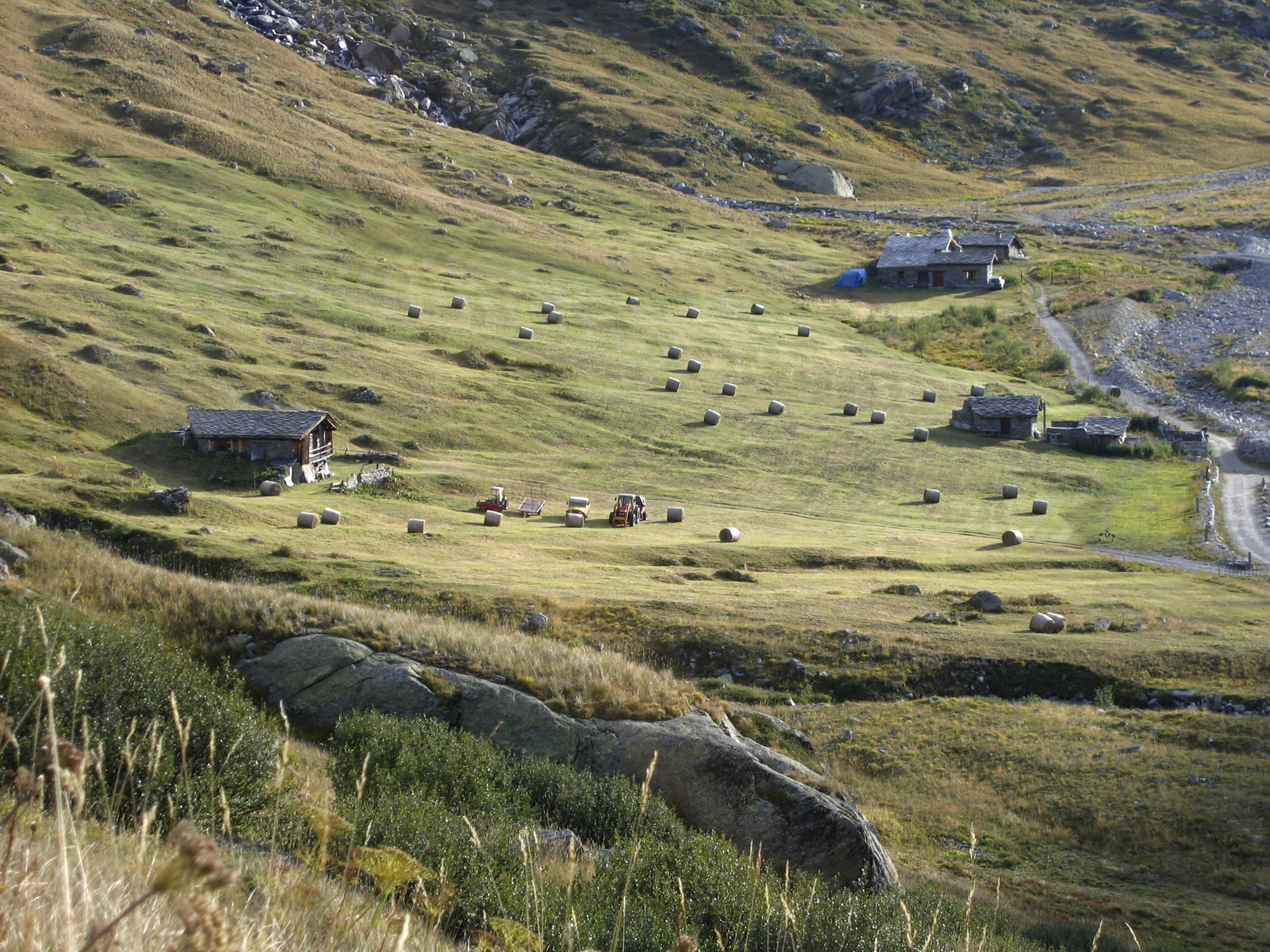 3pnv000346 Ballots de foin disséminés sur une prairie fraîchement coupée entre des chalets d'alpage