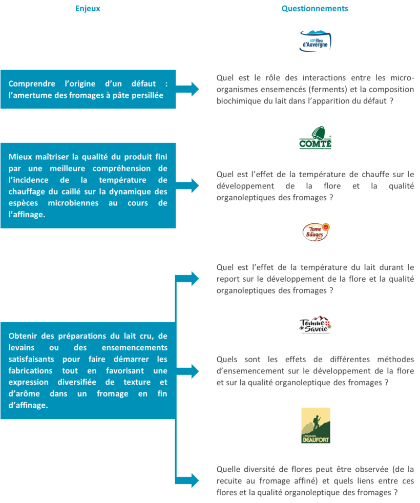 adamos-exemples-questionnements-820x982