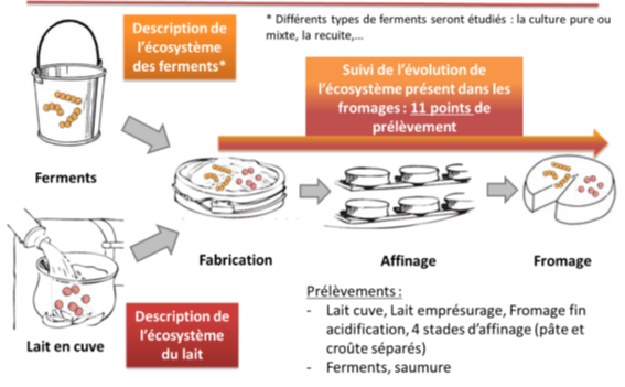 ERASMO-Description de l'écosysytème du lait icône indiquant d'ajouter une image