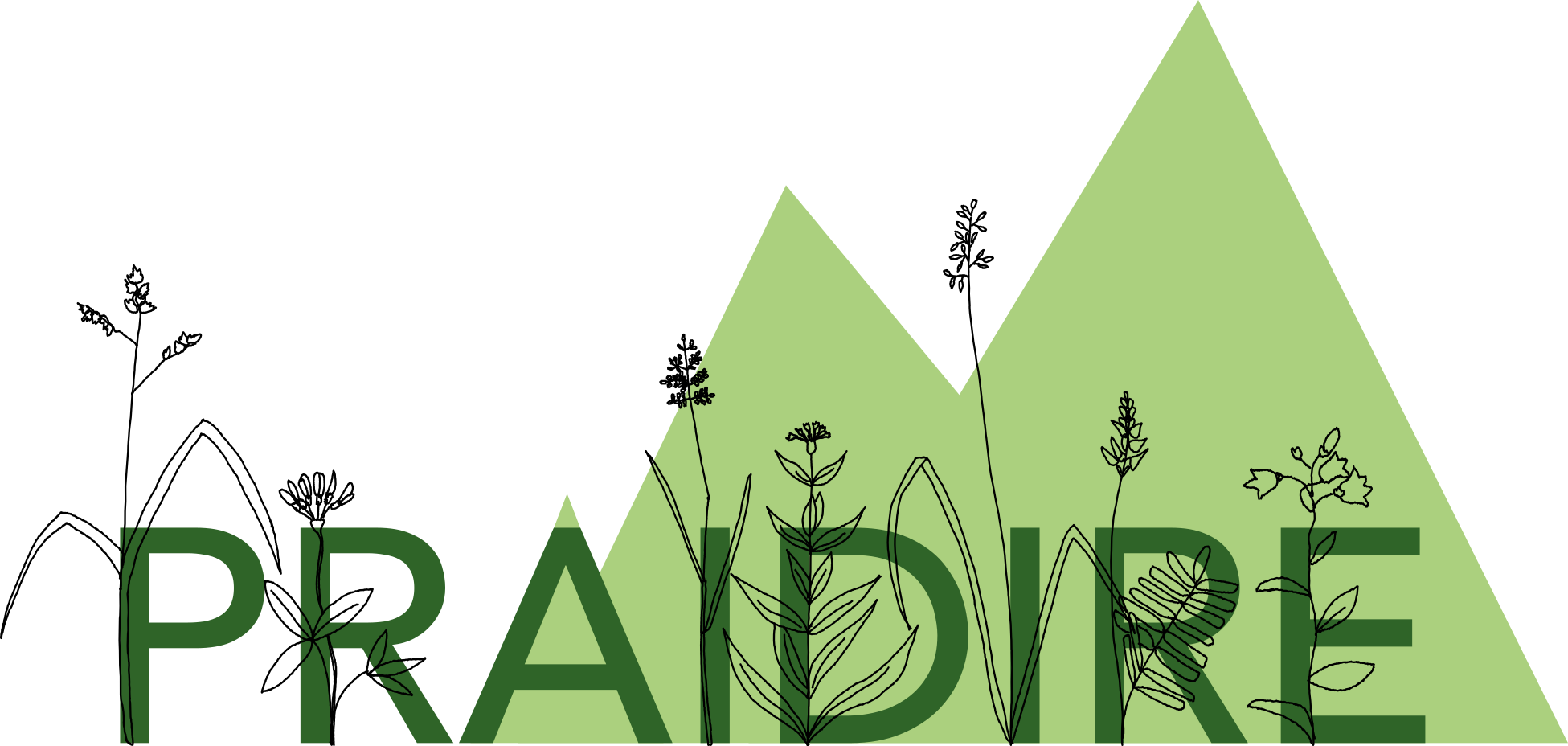 icône indiquant d'ajouter une image