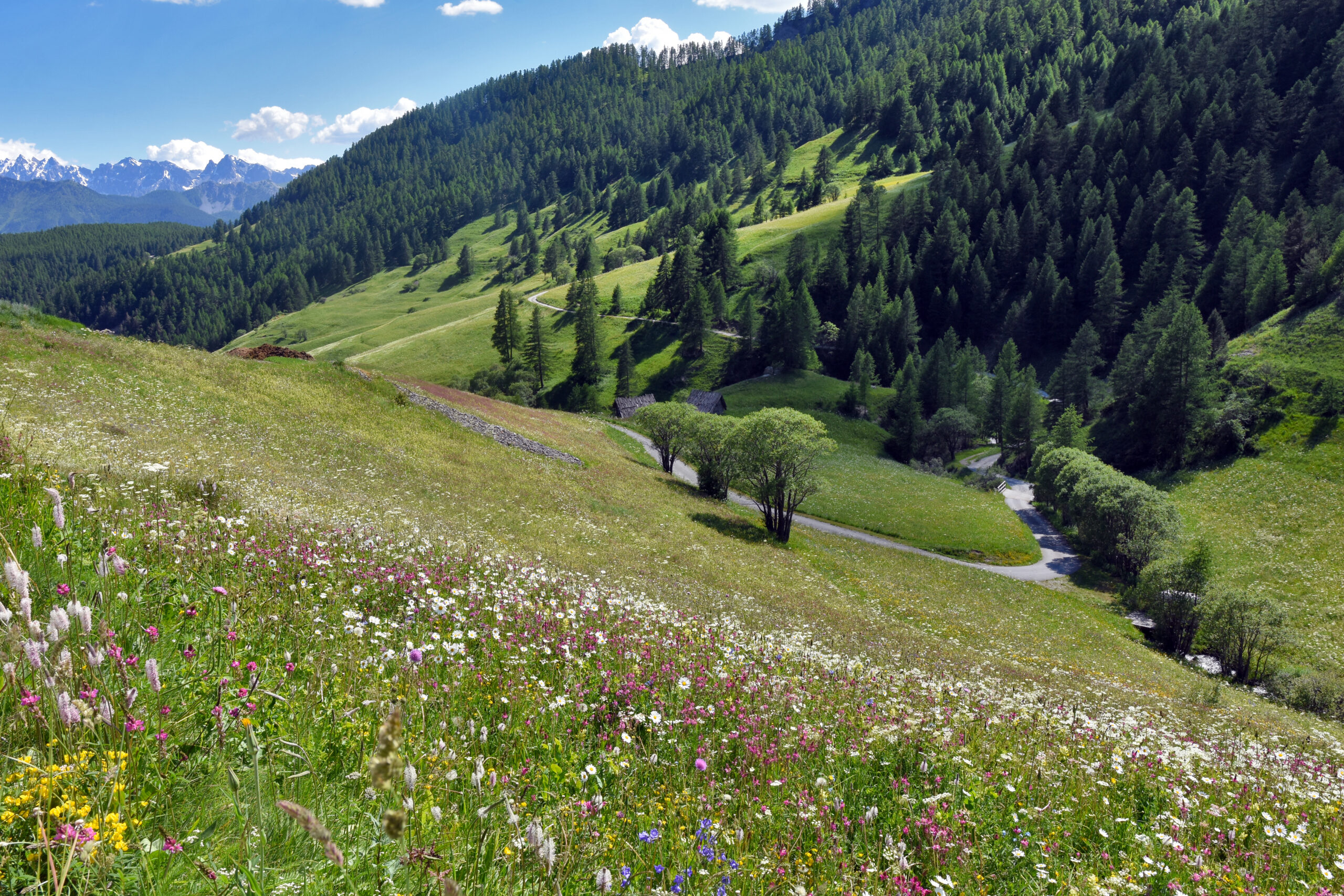 icône indiquant d'ajouter une image