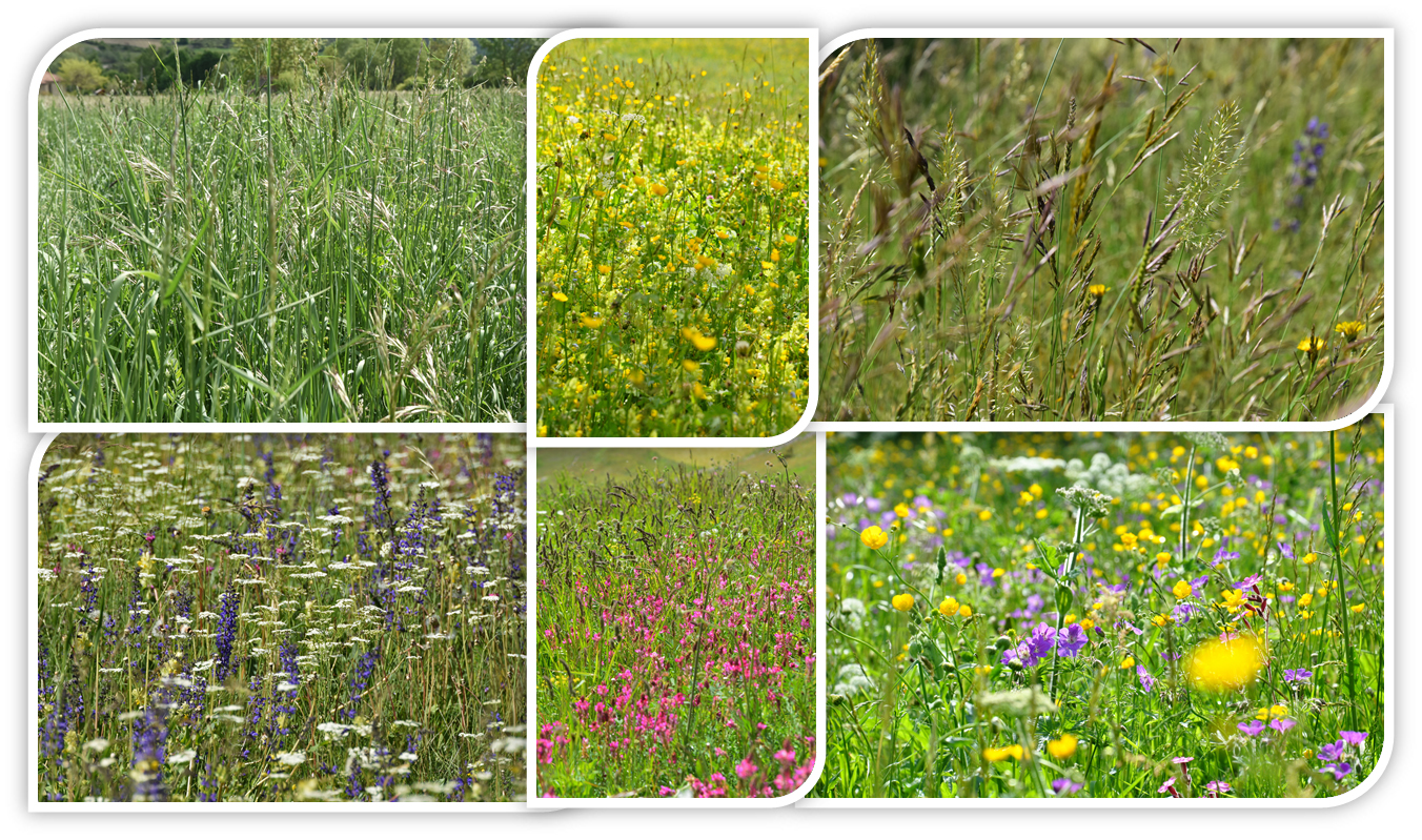 icône indiquant d'ajouter une image